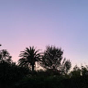 Meet your Posher, Sophie